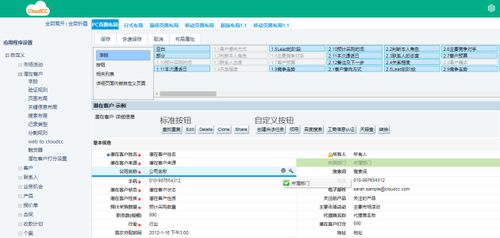 神州云动 crm 低代码平台,企业降本增效首选